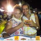 Bloco Skol Folia